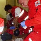 P1010795 _Large_.JPG