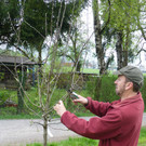 Imker7_jpg-1367874083