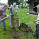 Imker11_jpg-1367874158