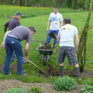 Imker12_jpg-1367874174
