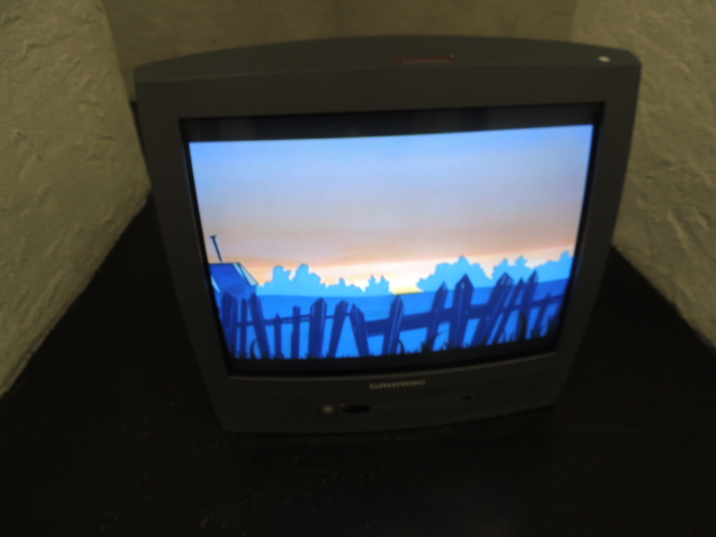 DSCN2123_JPG-1367876300