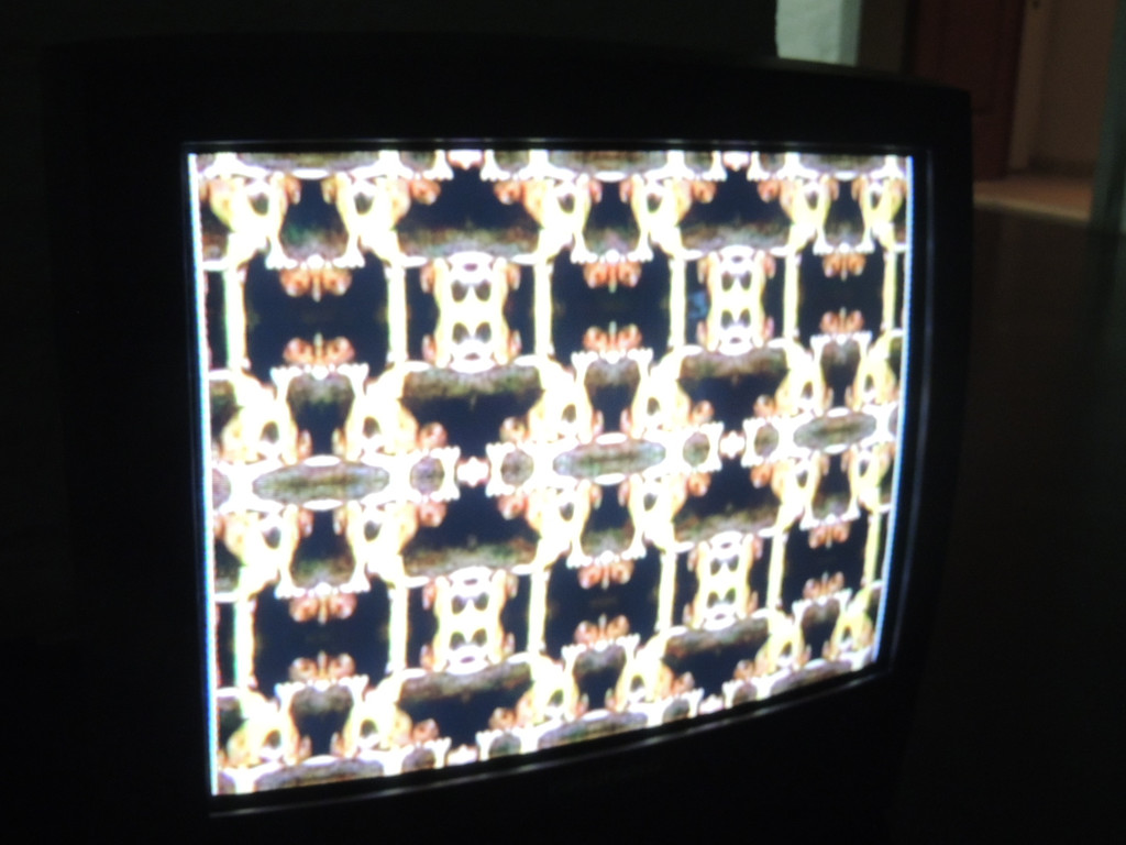 DSCN2230_JPG-1367876348