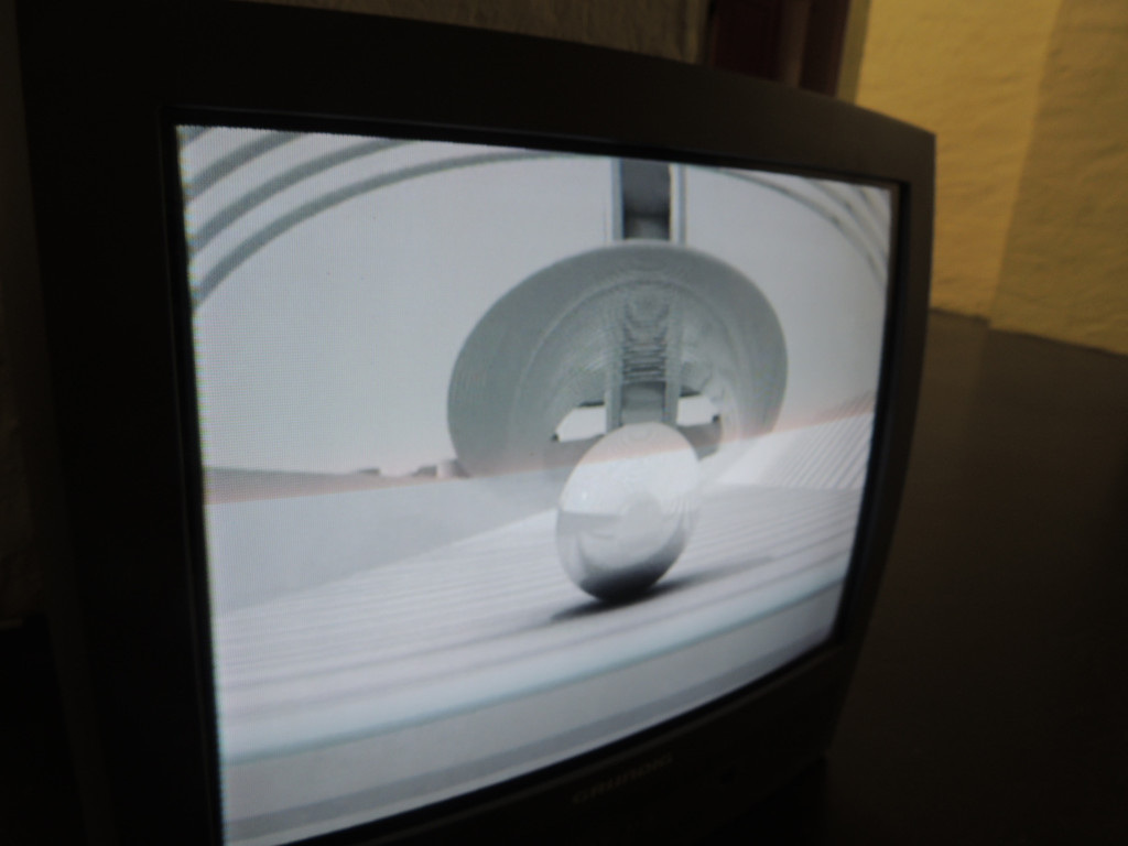 DSCN2132_JPG-1367876312