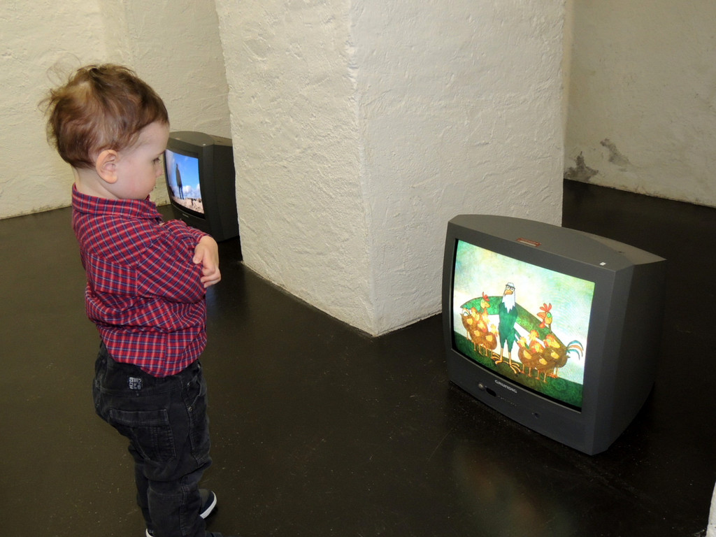 DSCN2212_JPG-1367876337