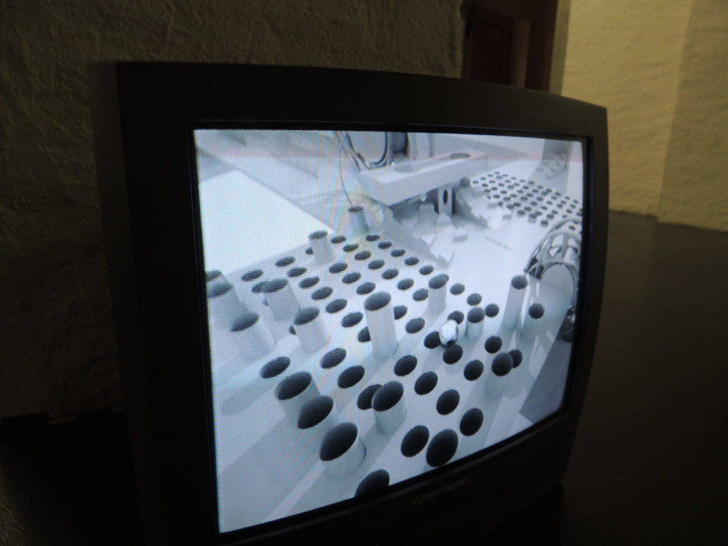 DSCN2137_JPG-1367876320