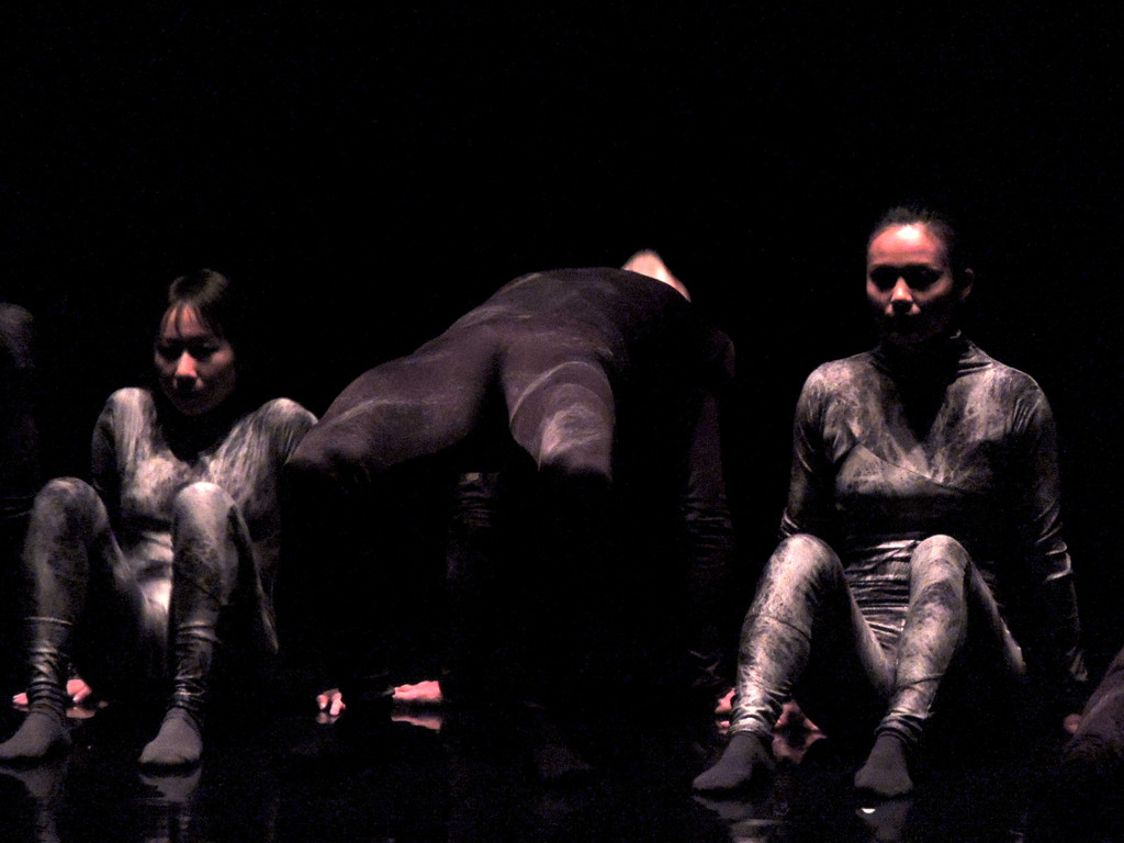 DSCN6519_JPG-1367877597