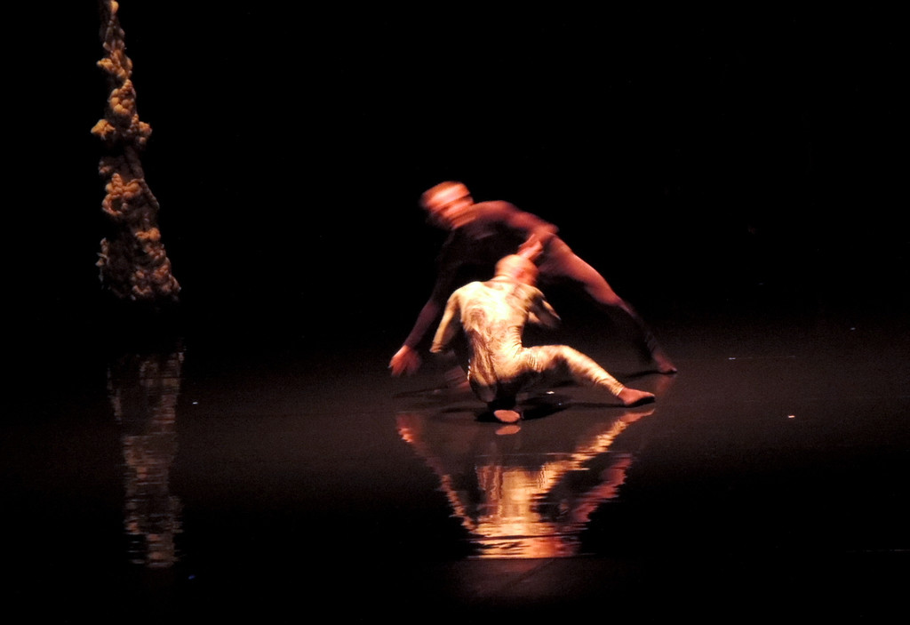 DSCN6548_JPG-1367877626