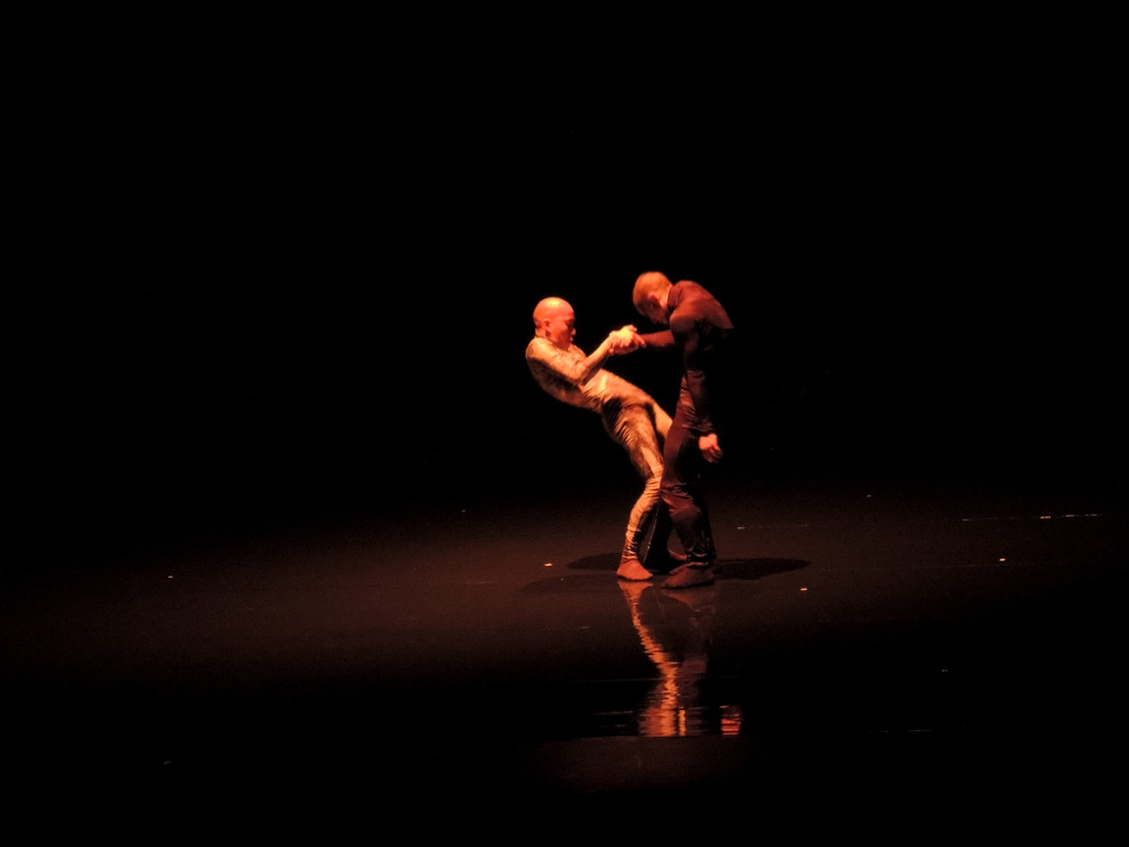 DSCN6546_JPG-1367877623