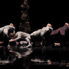 DSCN6530_JPG-1367877609