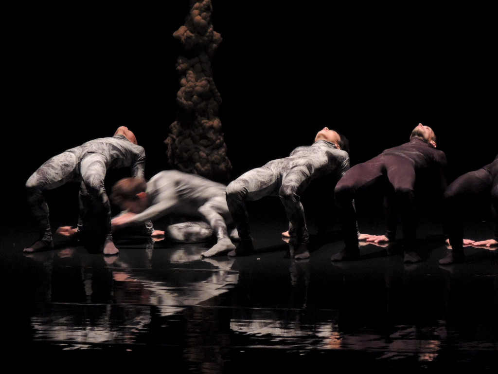 DSCN6530_JPG-1367877609