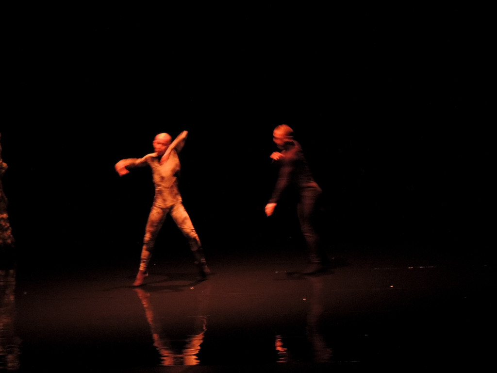 DSCN6552_JPG-1367877629