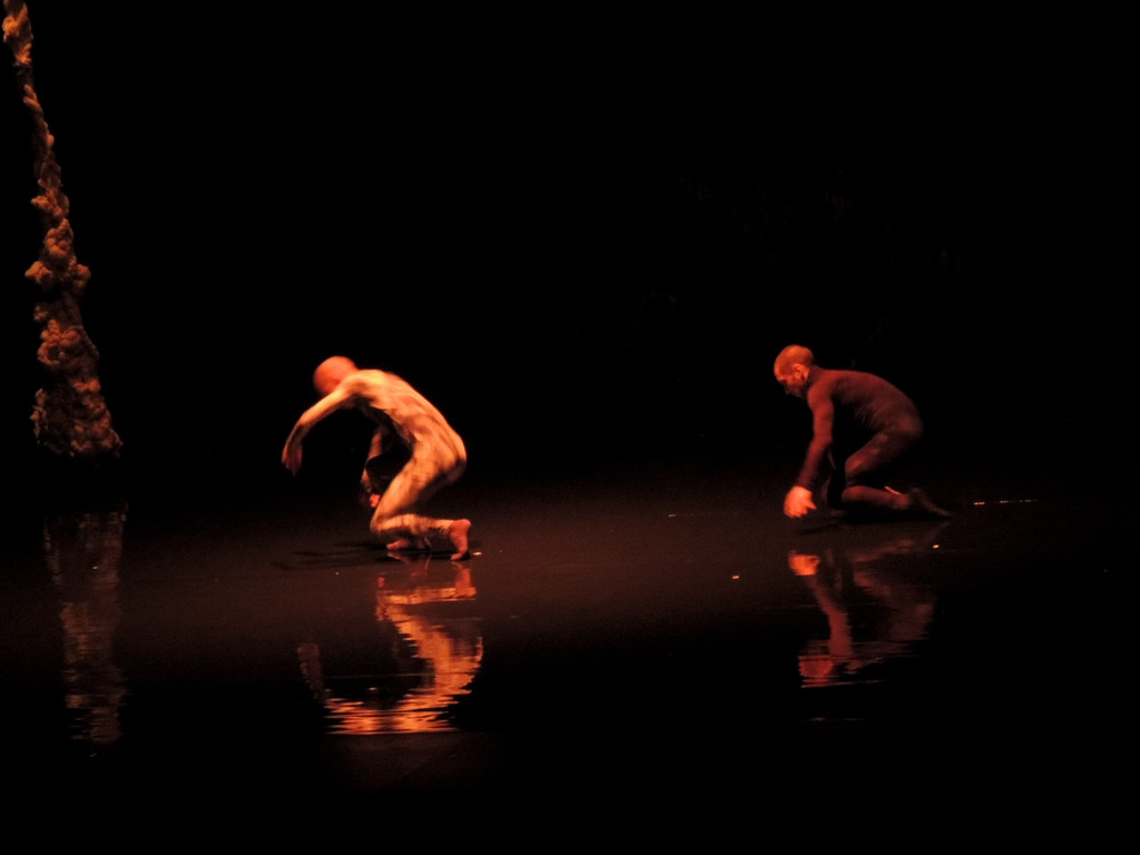 DSCN6561_JPG-1367877638