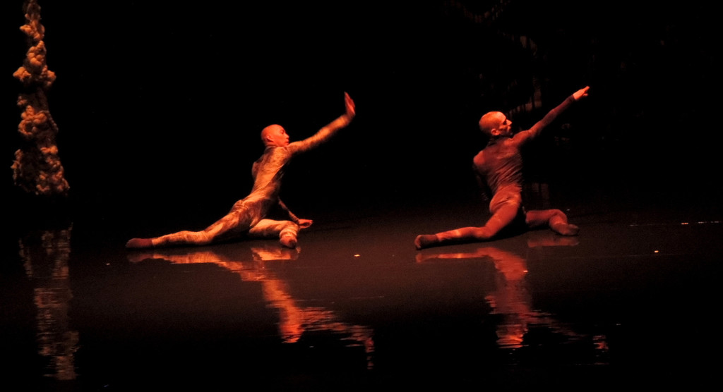 DSCN6562_JPG-1367877641