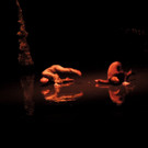 DSCN6564_JPG-1367877645