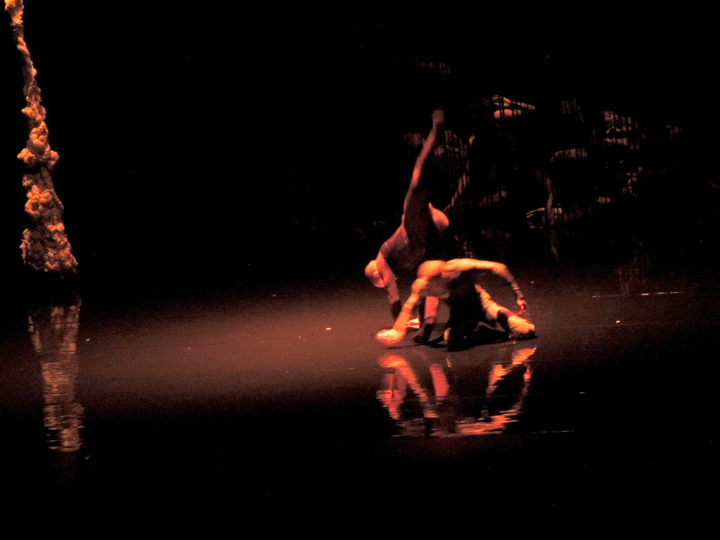 DSCN6569_JPG-1367877649