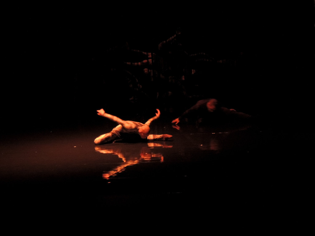 DSCN6558_JPG-1367877632