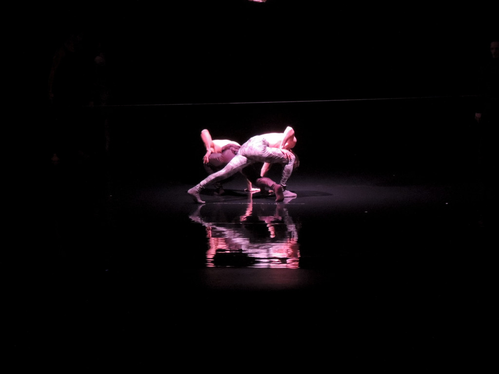 DSCN6597_JPG-1367877678