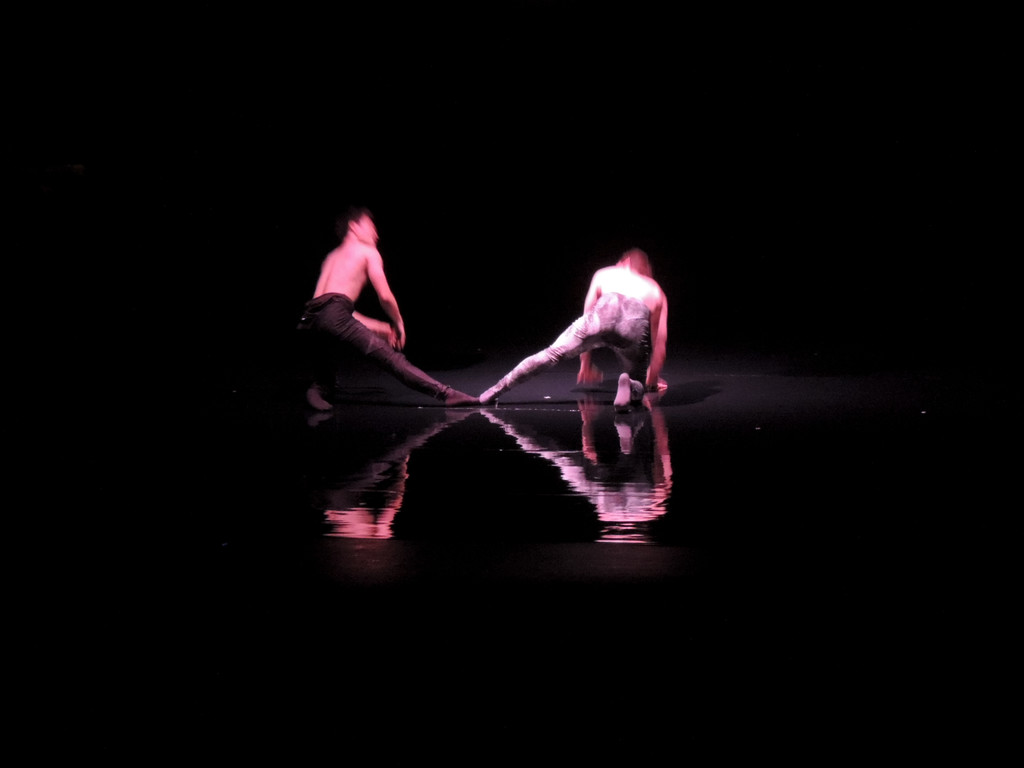 DSCN6600_JPG-1367877682