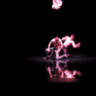 DSCN6603_JPG-1367877685