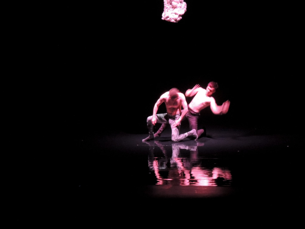 DSCN6603_JPG-1367877685