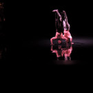 DSCN6606_JPG-1367877688