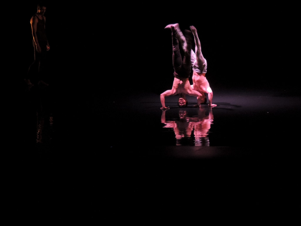 DSCN6606_JPG-1367877688