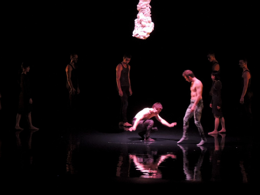 DSCN6608_JPG-1367877691