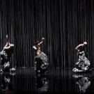 DSCN6619_JPG-1367877699