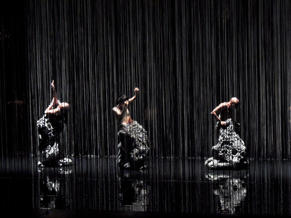 DSCN6619_JPG-1367877699