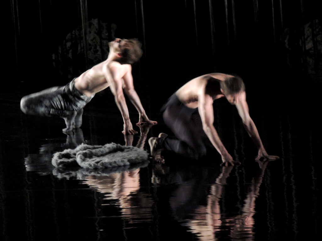 DSCN6638_JPG-1367877721