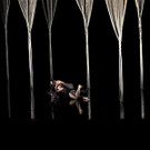 DSCN6656_JPG-1367877748