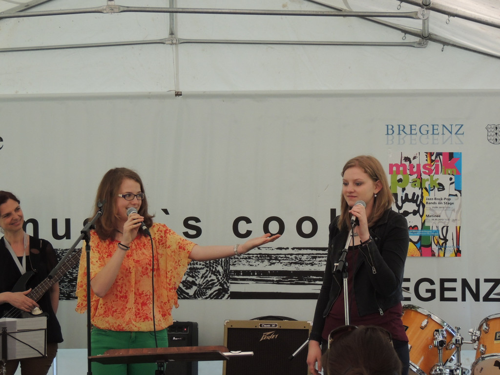 DSCN8782_JPG-1367881027