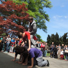 DSCN8861_JPG-1367881162