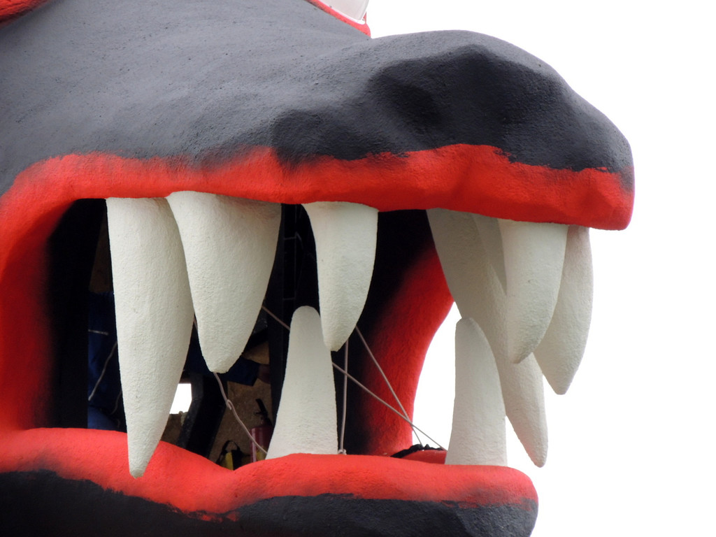 DSCN8456_JPG-1367883230