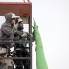 DSCN8445_JPG-1367883202