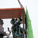 DSCN8453_JPG-1367883221