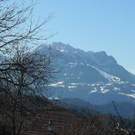 kaiser08_jpg-1267476220