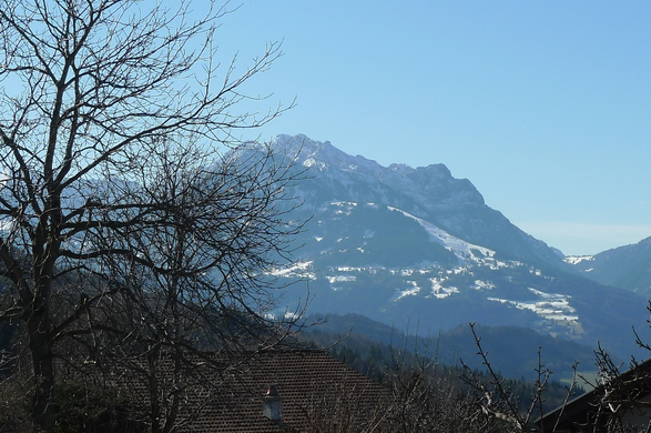 kaiser08_jpg-1267476220