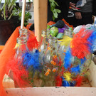 DSCN0909_JPG-1367914394