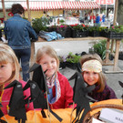 DSCN0937_JPG-1367915596