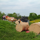 IMG_5977.jpg