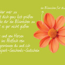 Blume_Oma.jpg