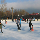 IMG_2367.JPG