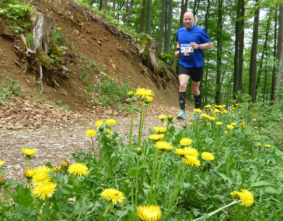 Lauf10o_jpg-1368004862