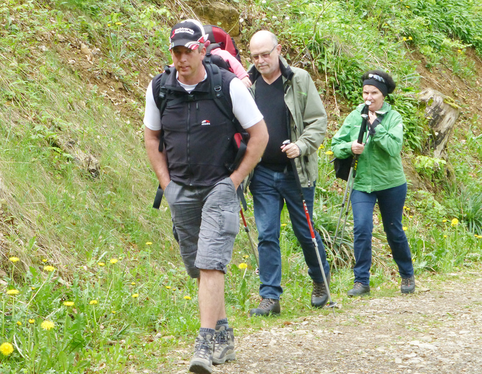 Lauf11b_jpg-1368005051