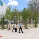 DSCN8985_JPG-1368057549