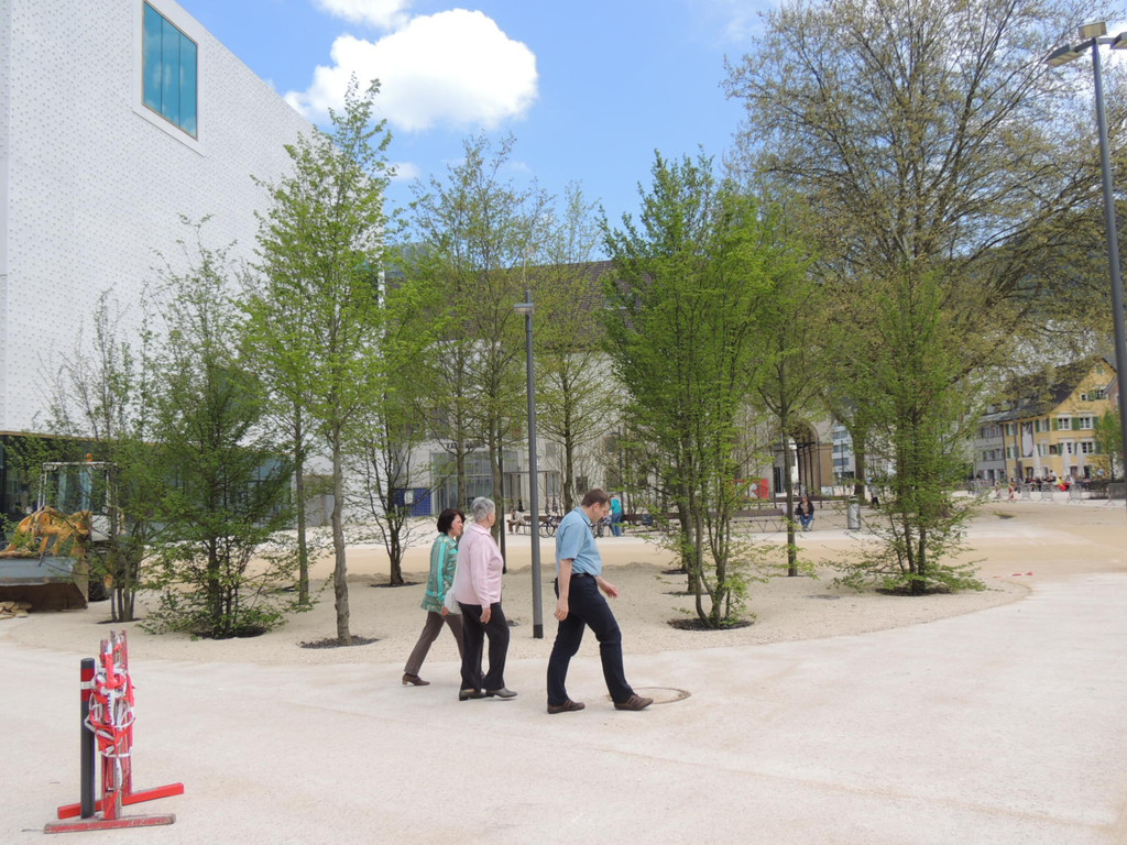 DSCN8985_JPG-1368057549