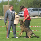 Körung in Ohlsdorf
