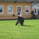 IMG_2925.JPG