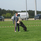 IMG_2946.JPG